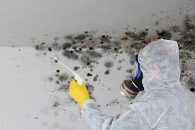 Best Mold Removal for HVAC Installations  in Spring Valley, NV